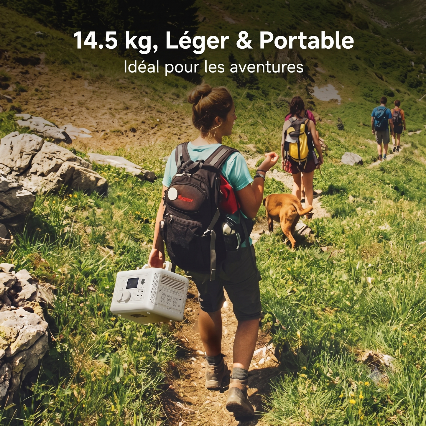 Centrale électrique Portable 600W