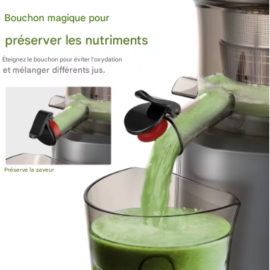 Extracteur de jus à pression et glace 200W