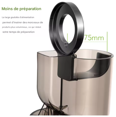 Extracteur de jus à pression et glace 200W