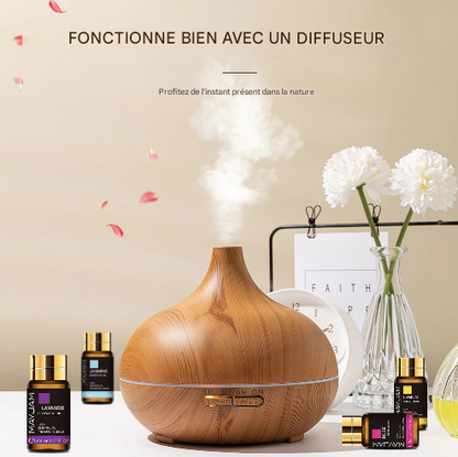 Coffret de 35 huiles essentielles pour humidificateur, diffuseur