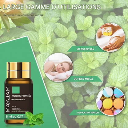 Coffret de 35 huiles essentielles pour humidificateur, diffuseur