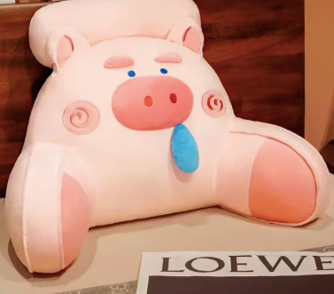 Coussin de lecture ergonomique