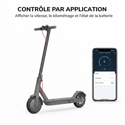 Trottinette Électrique Urbaine Batterie 10.4 Ah