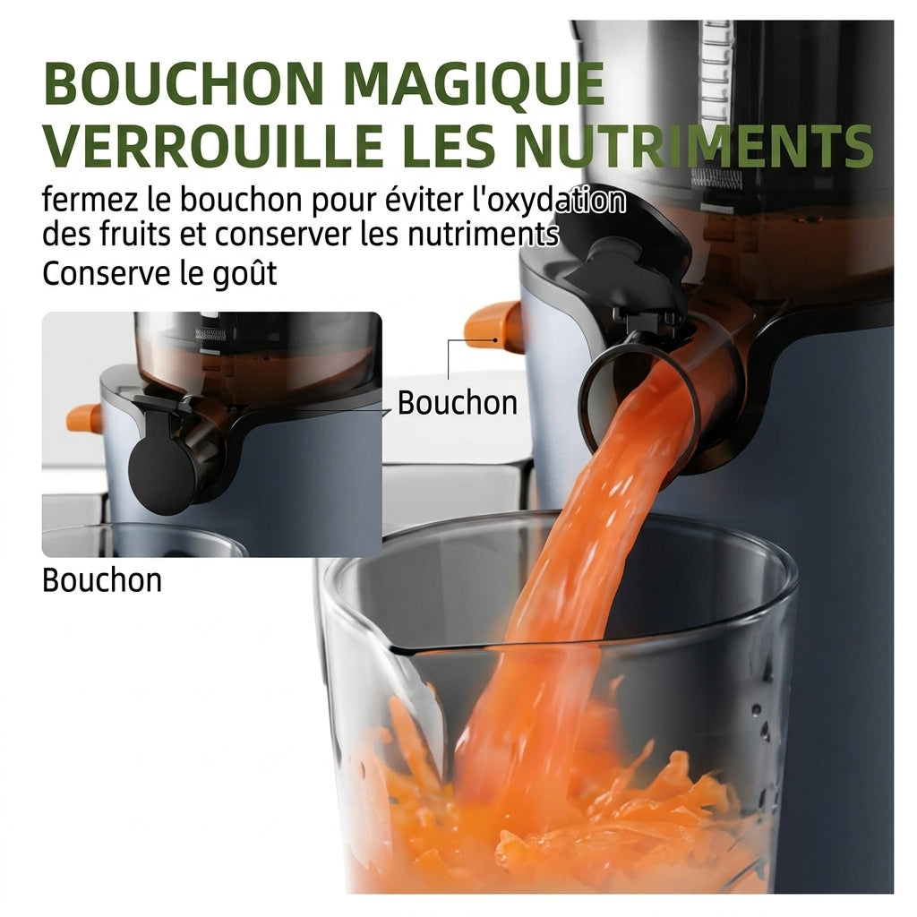 Presse-agrumes à pression