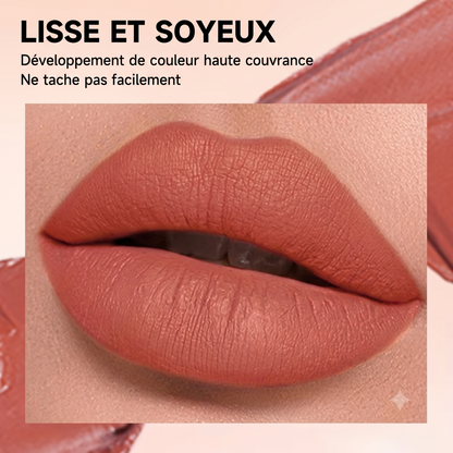 Coffret Intégrale de Rouges à Lèvres Mates et Brillantes
