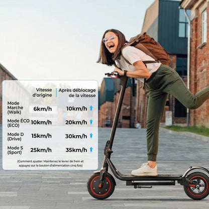 vélo électrique 36 V, 10,5 Ah