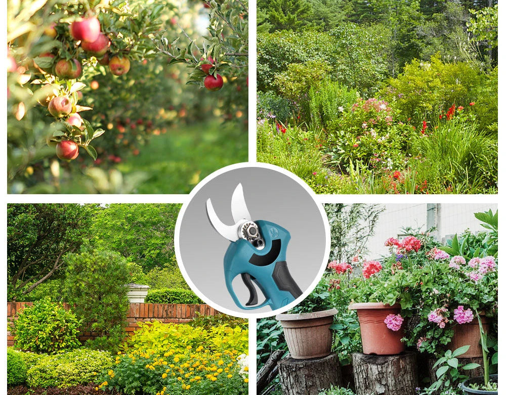 Sécateur électrique sans fil + 2 batteries