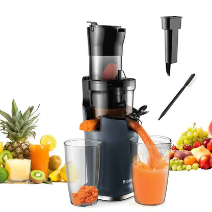 Extracteur de jus à pression et glace 200W