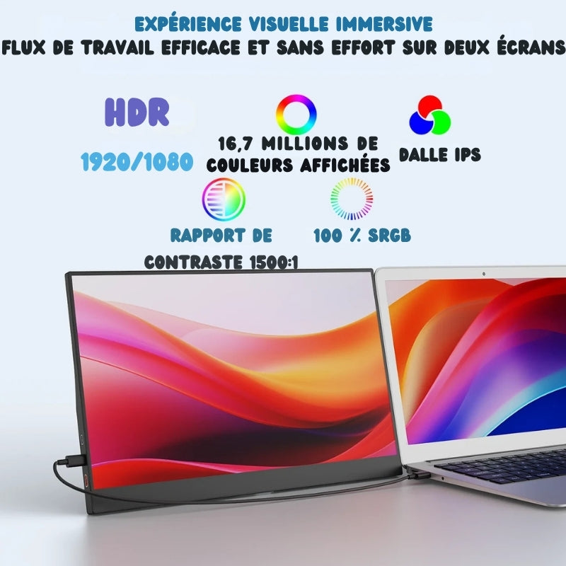 Écran portable 15,6 pouces