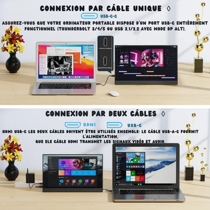 Écran portable 15,6 pouces