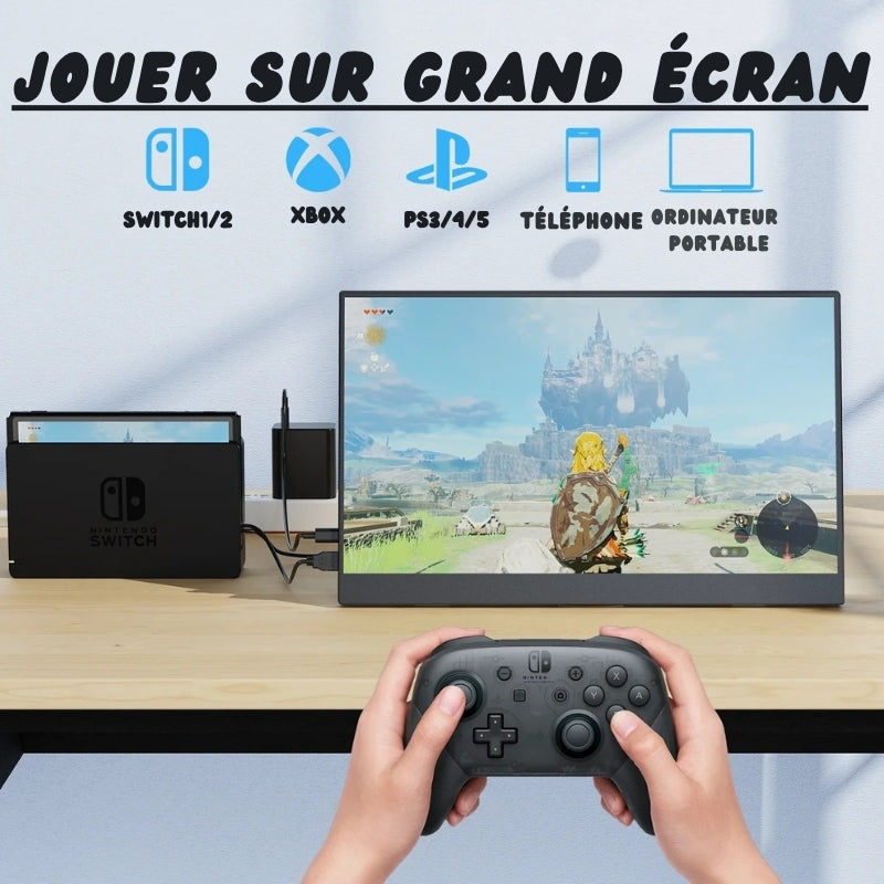 Écran portable 15,6 pouces