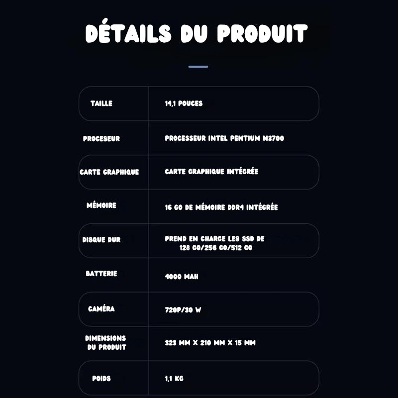 Ordinateur portable 14.1 pouces